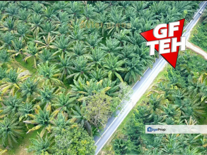 6.73 acres wide Reserve Road | 130m from main road | near Bukit Teh | Bukit Mertajam RM22psf