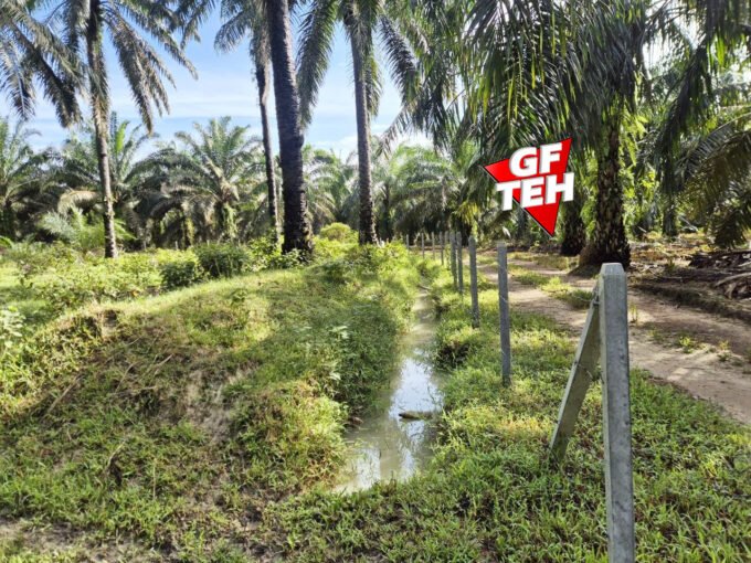 14.2 acre Agricultural Land | Kuala Selama | Bandar Baharu | Kedah RM3.87 psf b