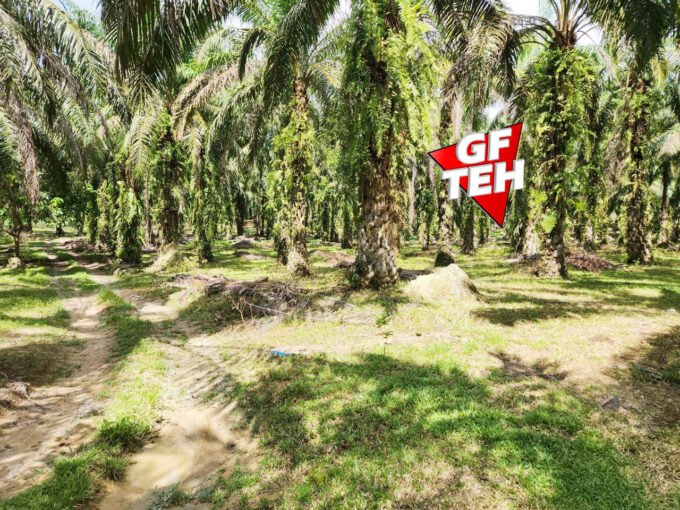 10.26 acre Agricultural land | Selama | Perak RM2.53 psf b