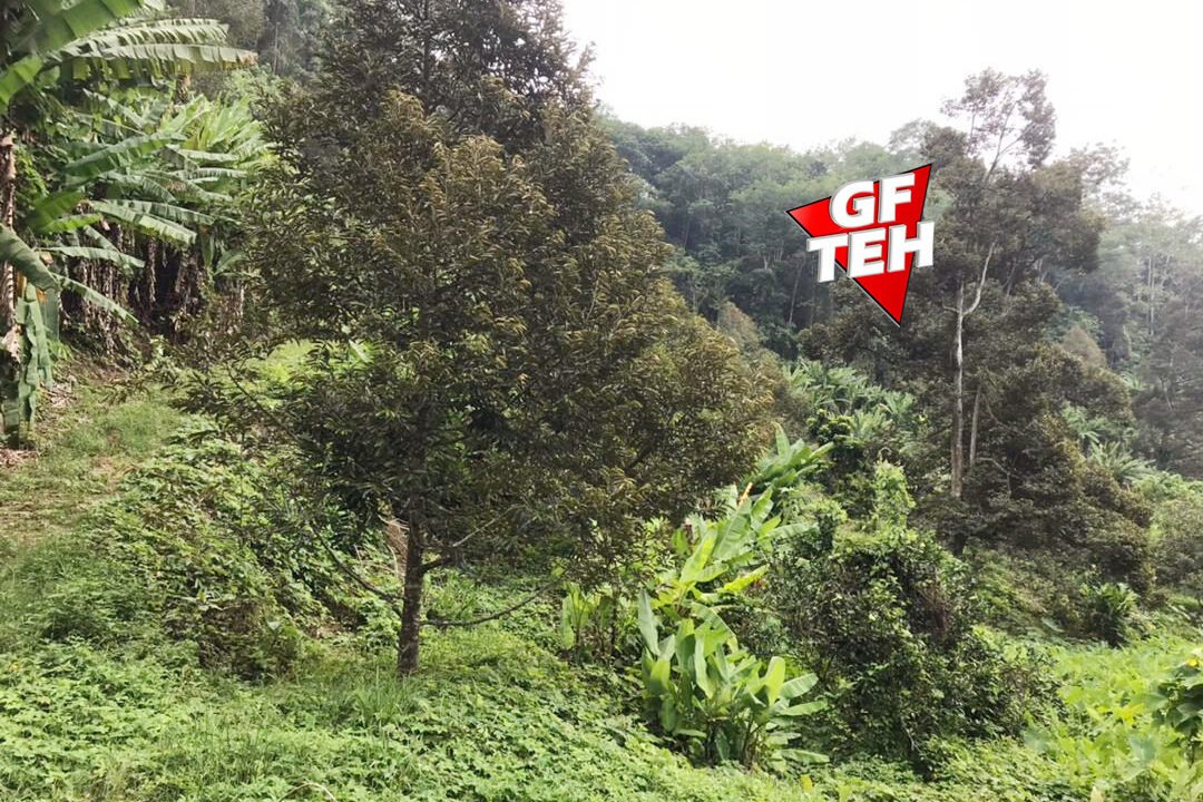 M7