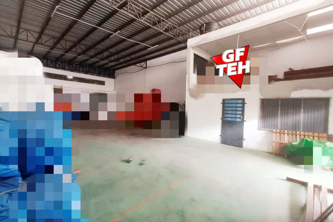 T6