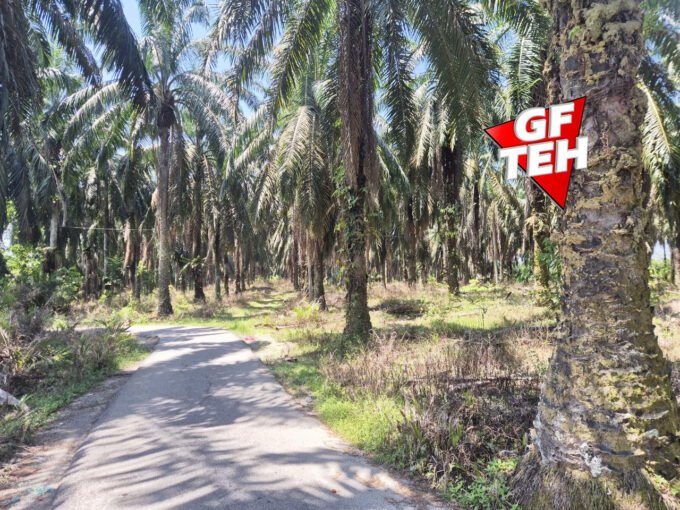 8.51 acre Agricultural Land |Sungai Batu | Selama |Bandar Baharu | Kedah RM3.07 psf B