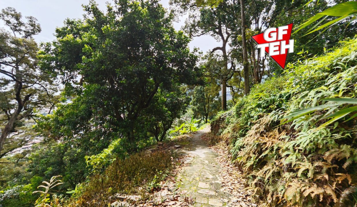 T10