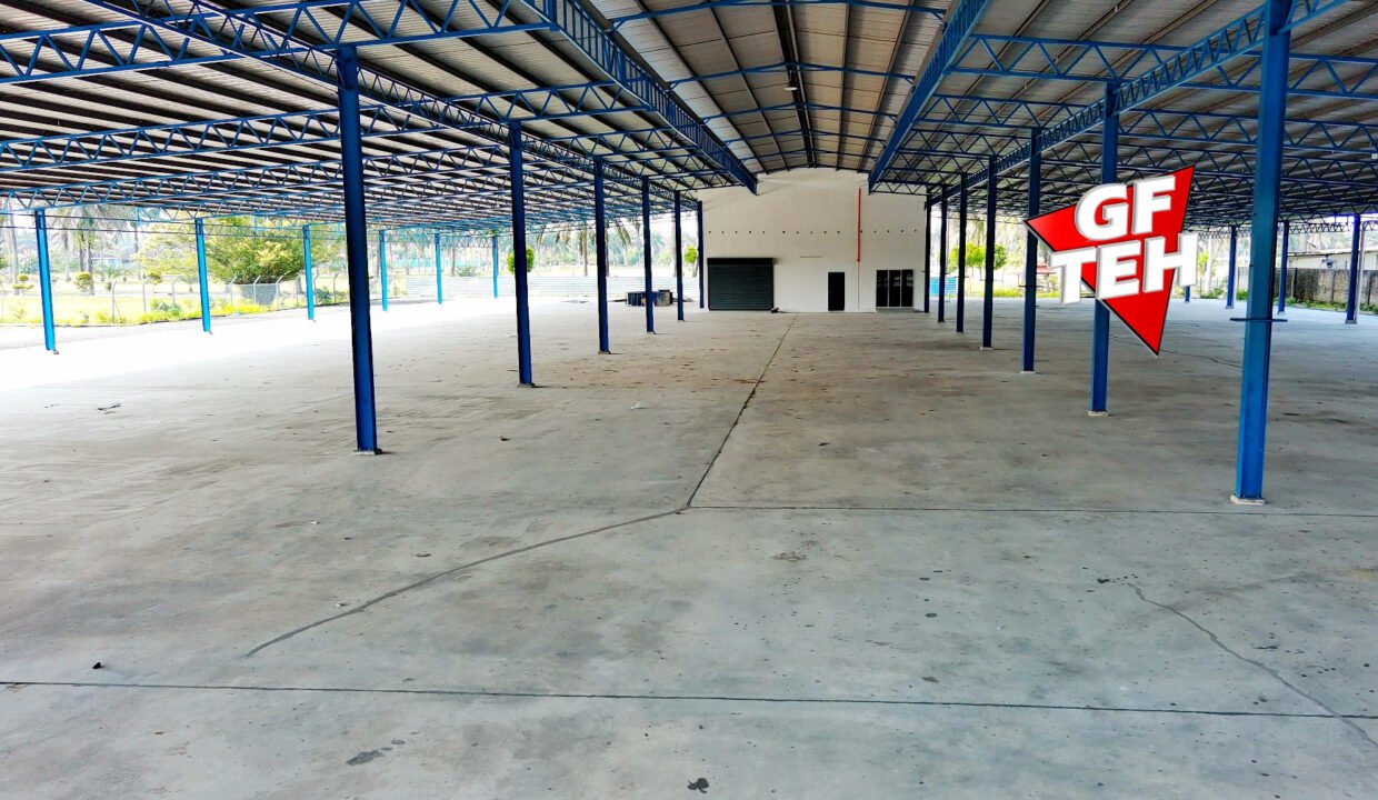 T6
