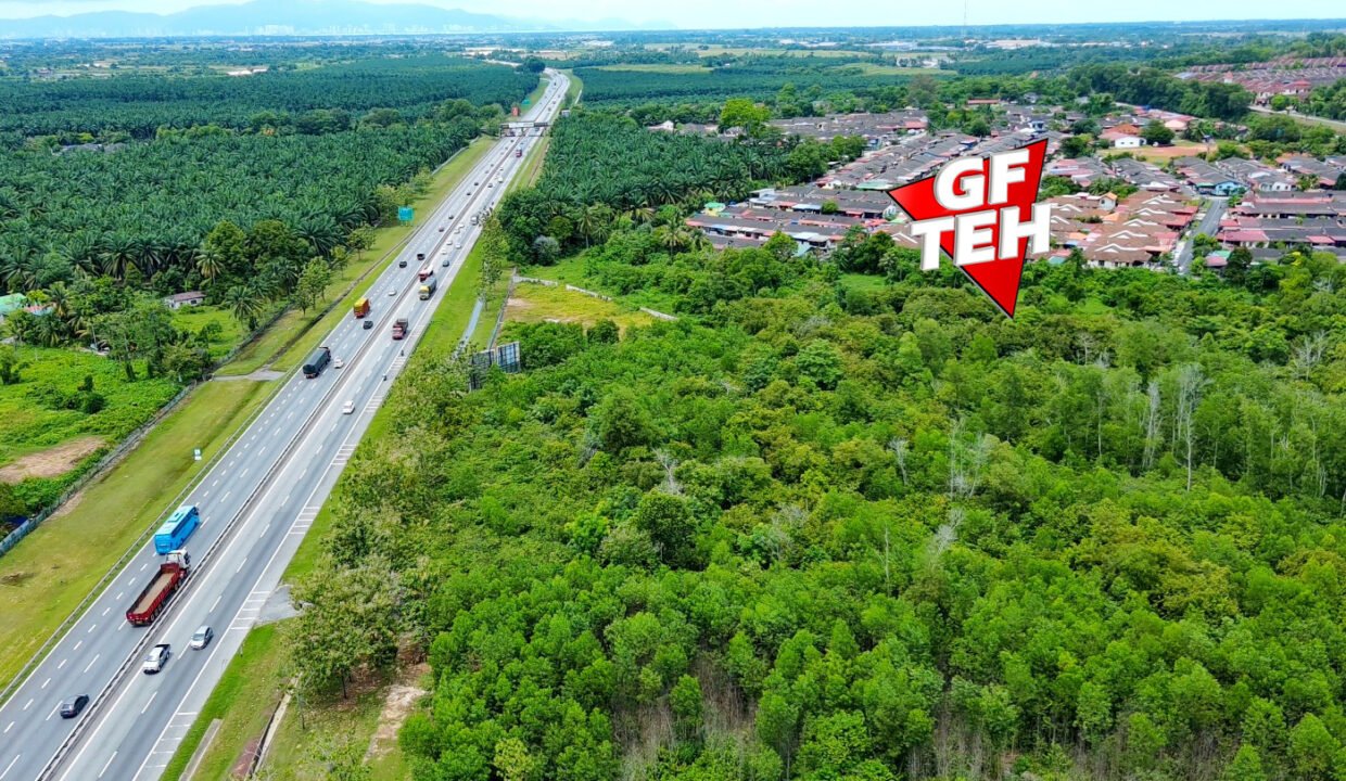 T1
