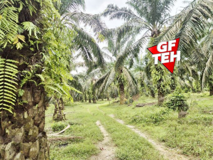 5.04 acre Agricultural Land | Sungai Bakap | Sungai Jawi | Penang Rm13psf