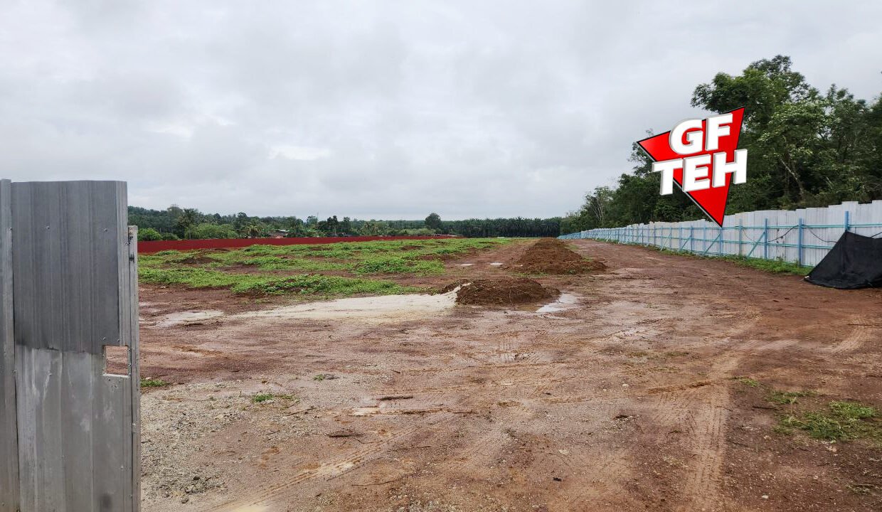 T7